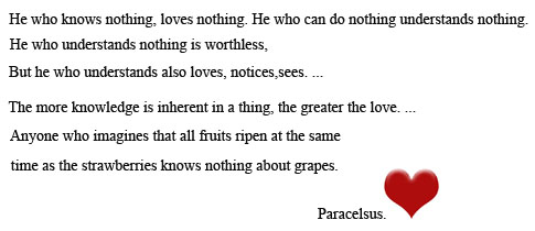 Paracelsus